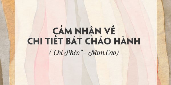 [Bài viết] Cảm nhận về chi tiết bát cháo hành 