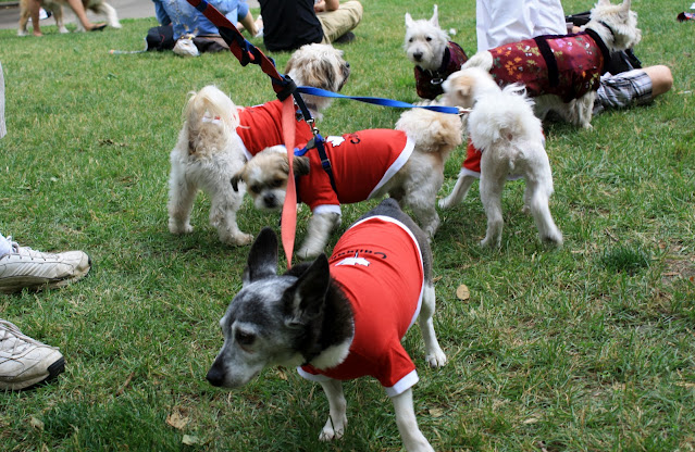 Woofstock Toronto 2012 in Photos by Omar Cherif, One Lucky Soul