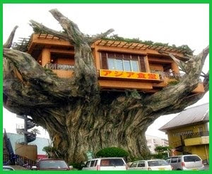 Minimalist Wooden House on Tree