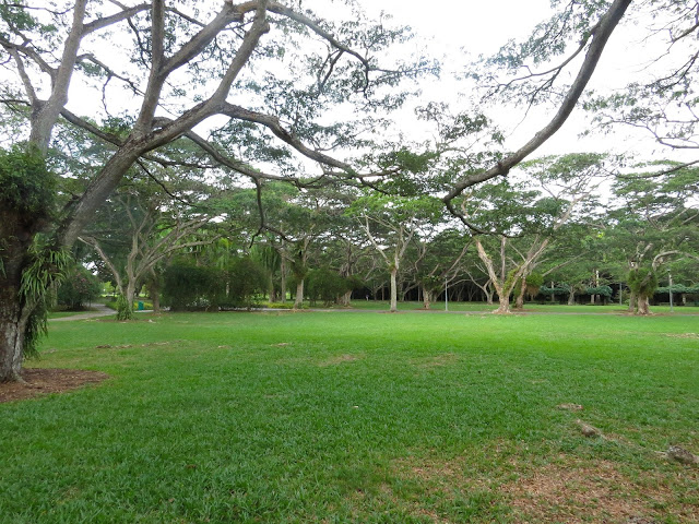 Pasir Ris Gardens - Singapore