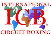 INTERNATIONAL CIRCUIT BOXING