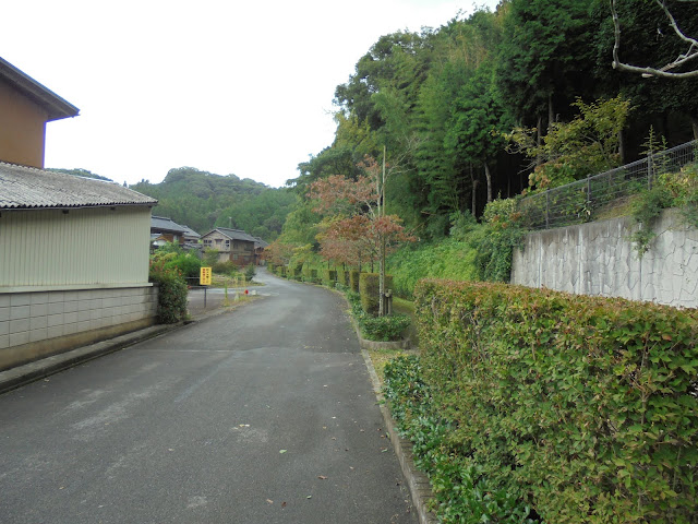 上淀廃寺跡に向かって歩道を歩きます