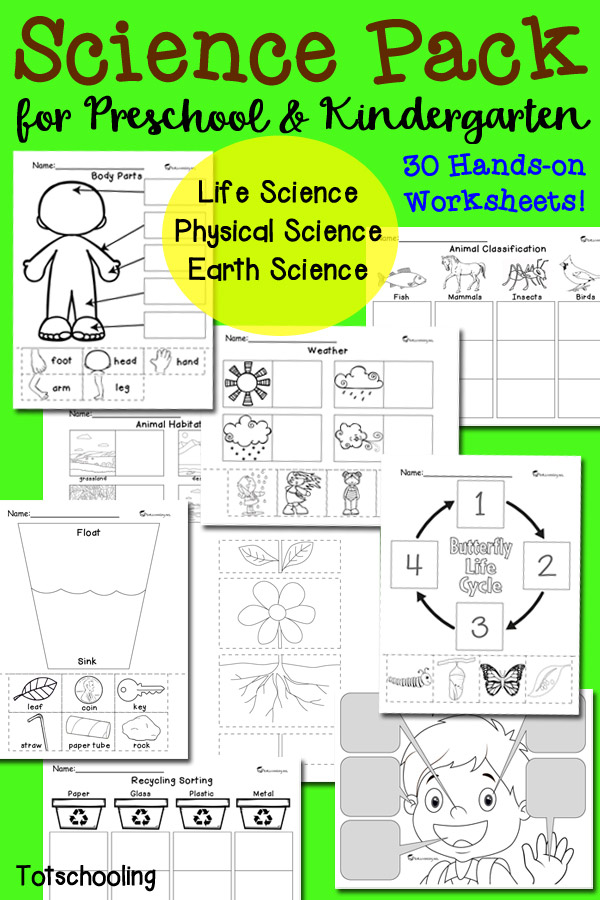 my body systems science booklet totschooling toddler preschool kindergarten educational printables