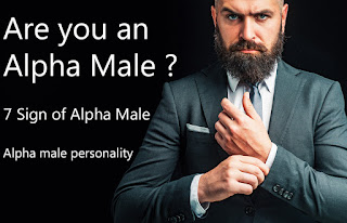 7 Sign Of Alpha Male