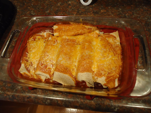 salsa chicken enchiladas, chicken enchiladas, dinner recipe, recipe, enchiladas, quick dinner, fast dinner, Mexican dinner recipe, salsa recipe