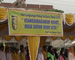 7.KUANSING TELEVISI (KS TV)