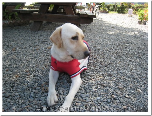 TaiTung_trip24
