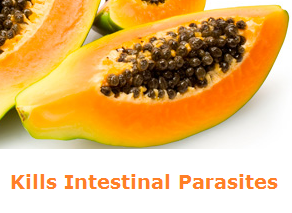 Health Benefits of Papaya - Paw paw Kills Intestinal Parasites