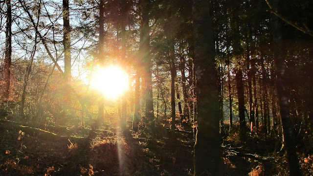 activity holidays, de tout coeur limousin, guardian travel, Limousin, meditation, meditation retreat, retreat, retreat france, singing, singing retreat, The Guardian, find your voice, breathe, creuse, nouvelle aquitaine, relax, wellbeing, singing is good for you, meditation france, retreat france, visit france, connection, space, healing, energy, voices, true voice,authentic voice, voice workshops, singing workshops, meditation workshops, natural voice, 