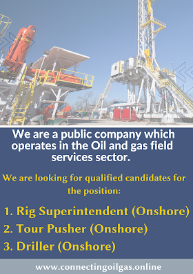  We are a public company which operates in the Oil and gas field services sector. 