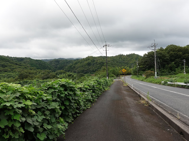 鳥取県道1号溝口伯太線