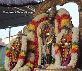 Parthasarathy Perumal, Maasi Sravanam, Thiruvonam Purappadu,  Trplicane,  Purappadu, Thiruvallikeni, Utsavam, 