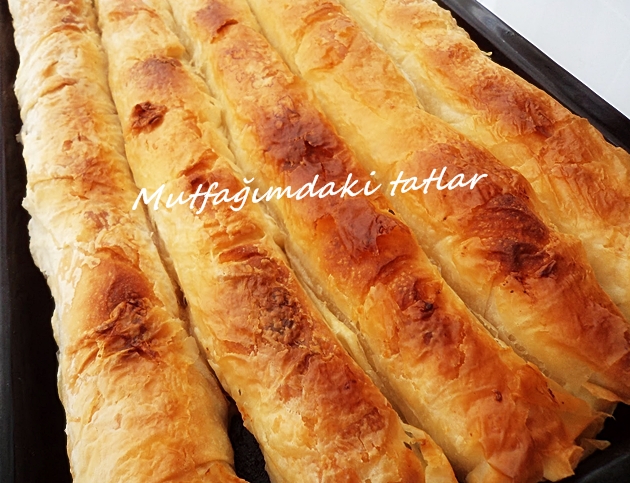 citir borek 1