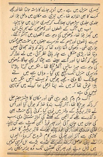 house on fire essay in urdu