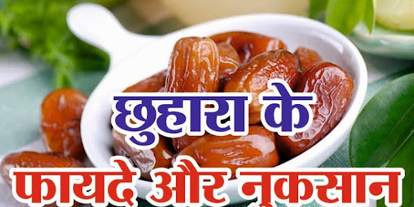 जान लो छुहारा खाने से होने वाले फायदे | Benefits of Eating Dates