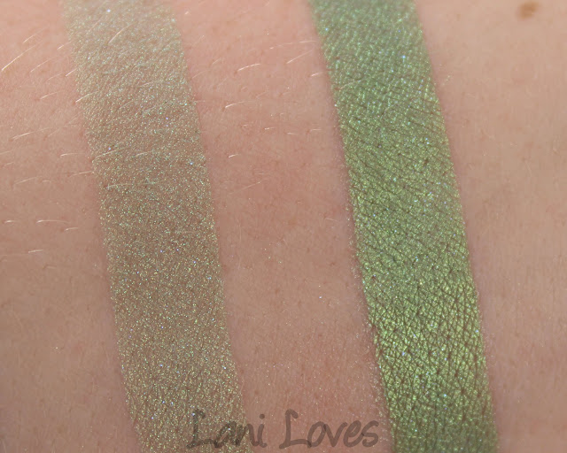 Darling Girl Cosmetics - Climb You Like A Tree Eyeshadow Swatches & Review