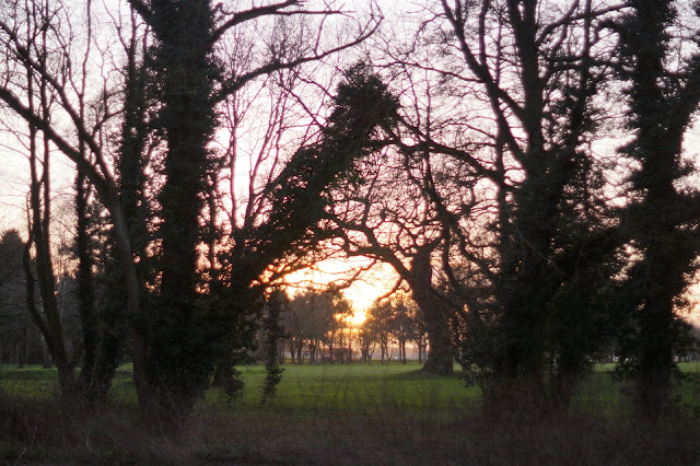 Inspiration from the Norfolk countryside in winter