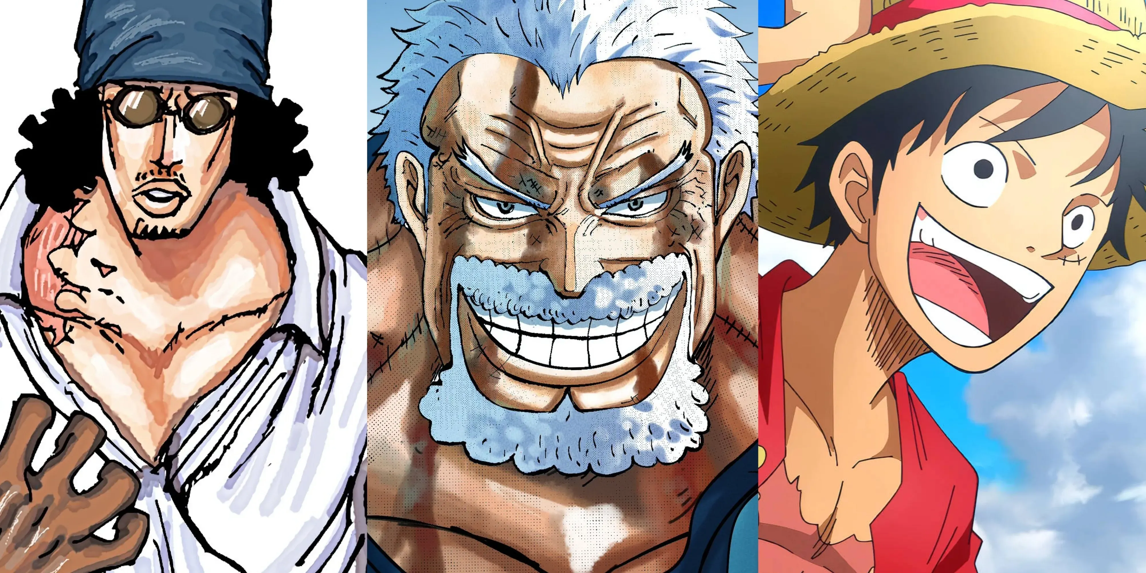 One Piece: Todos os Personagens Treinados por Monkey D. Garp