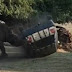 (Video) Badak mengamuk serang & terbalikkan kereta penjaga taman safari