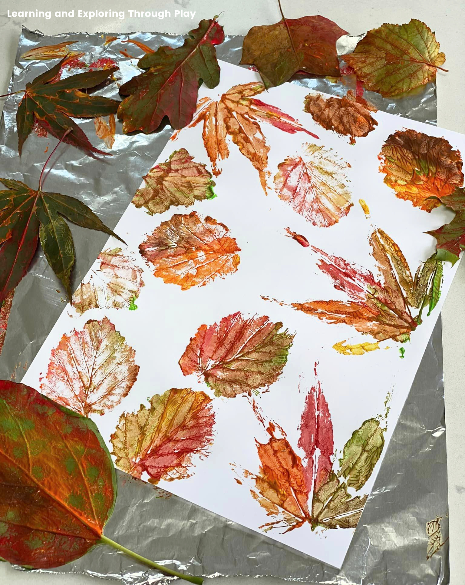 Leaf Prints Kids' Arts-Crafts