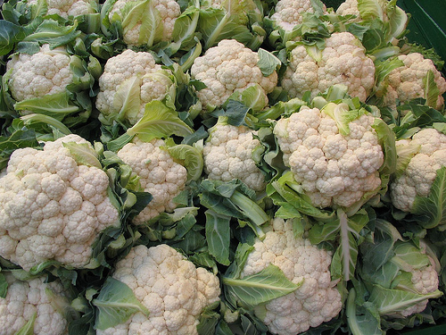 Behind The French Menu Kale Borecole And Its Family Members In French Cuisine Bok Choy Cauliflower Chinese Cabbage Kale Or Borecole Kolrabi And Romanesco Broccoli On French Menus