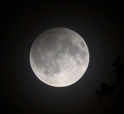 Eclipsa de Lună septembrie 2016 Imagini.