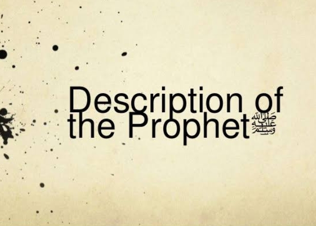 DESCRIPTION OF THE PROPHET