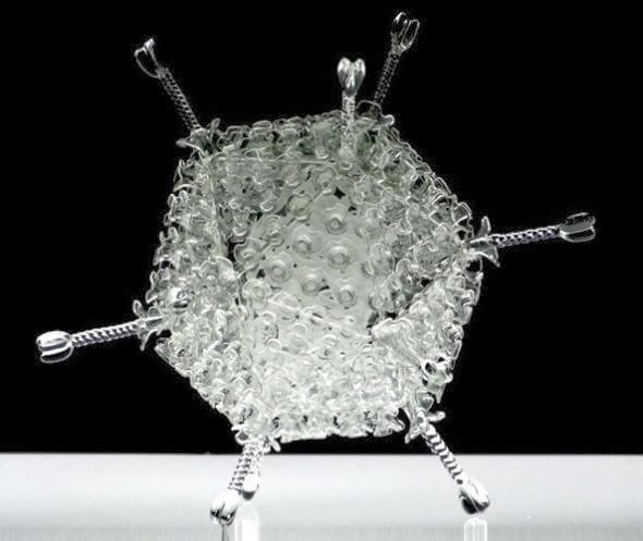 Luke Jerram glass microbiology esculturas vidro microbios virus bactérias arte ciência doenças