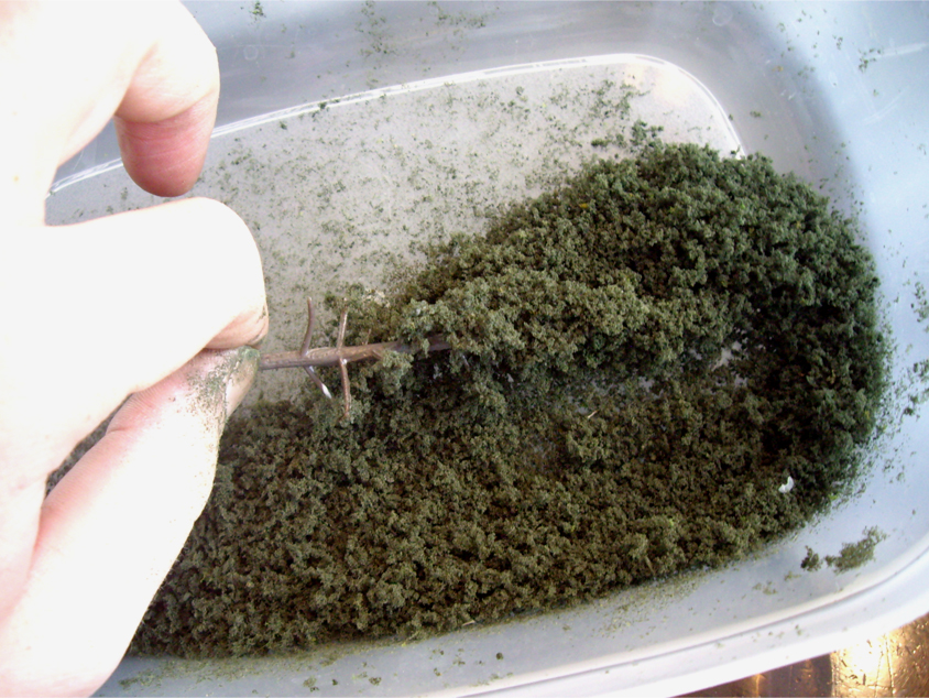 Dipping and rolling plastic tree armatures in a container full of Woodland Scenics ground foam