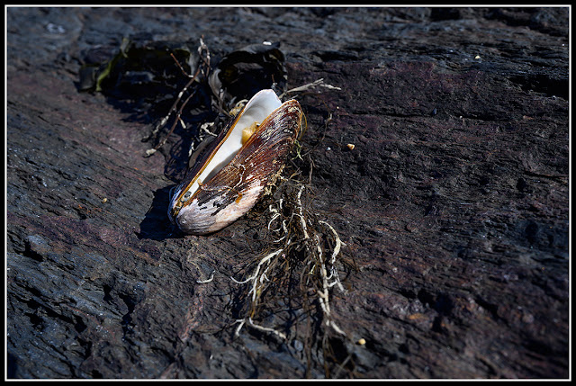 Hirtle's Beach; Nova Scotia; Maritimes; Atlantic Ocean