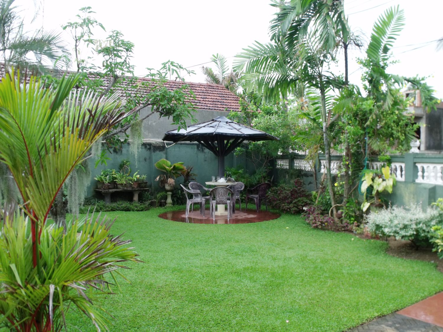 Home-garden in Duwa, Negombo, Sri Lanka.