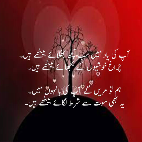 2 line urdu poetry copy paste love