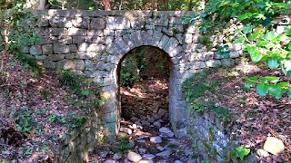 人文研究見聞録：大麻比古神社 ［徳島県］