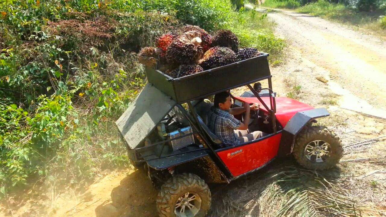 Spesifikasi Fin Komodo Offroad