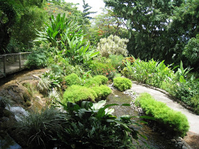 Un semblant de jardin japonais du côté des bambous