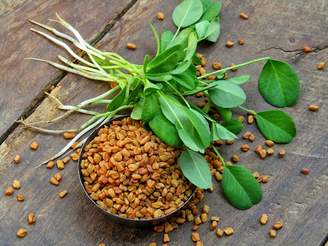 picture of Fenugreek seeds are great for digestion and have a natural soluble fiber that helps in appetite control by promoting a feeling of fullness and thus helping in weight loss