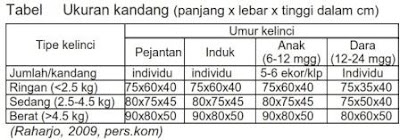 Ukuran Kandang Kelinci