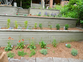 The Beach Toronto Tiered Front Garden After by Paul Jung Gardening Services--a Toronto Gardening Company