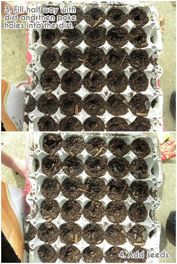 egg carton veggies 3 - life as their mom