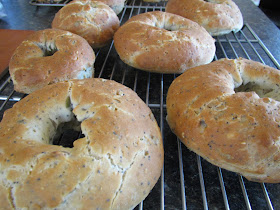 Gluten Free Hearty Bagels