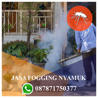 Hubungi : 087871750377 Jasa Fogging Nyamuk di Gajahmungkur Semarang