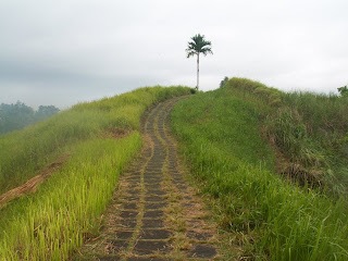 Gowes ke Bukit Campuhan Ubud 1.jpg