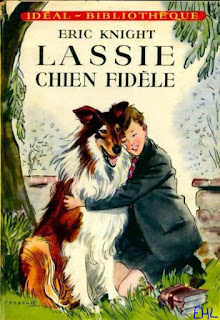 livre chien fidele