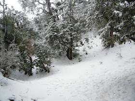 snowfall in deoria tal