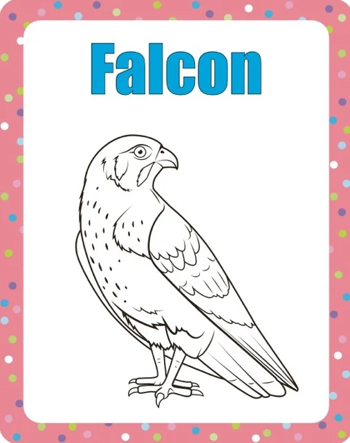 100 Animals to Color