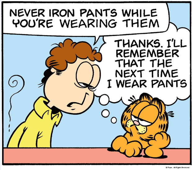 garfieldchato2.png (619×549)