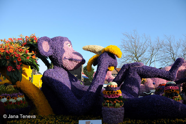 Bloemencorso 2013 Holland