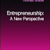 Entrepreneurship: A New Perspective (Studies in Global Competition)