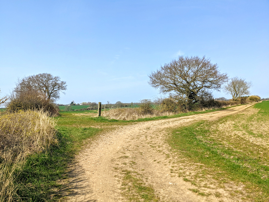 Walkern bridleway 3 bending to the right (see point 5 below)