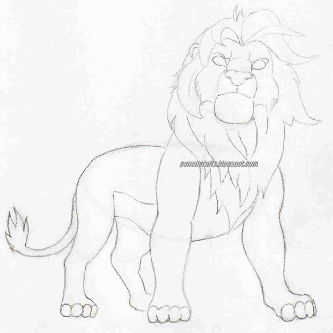 Outline Lion Head Drawing